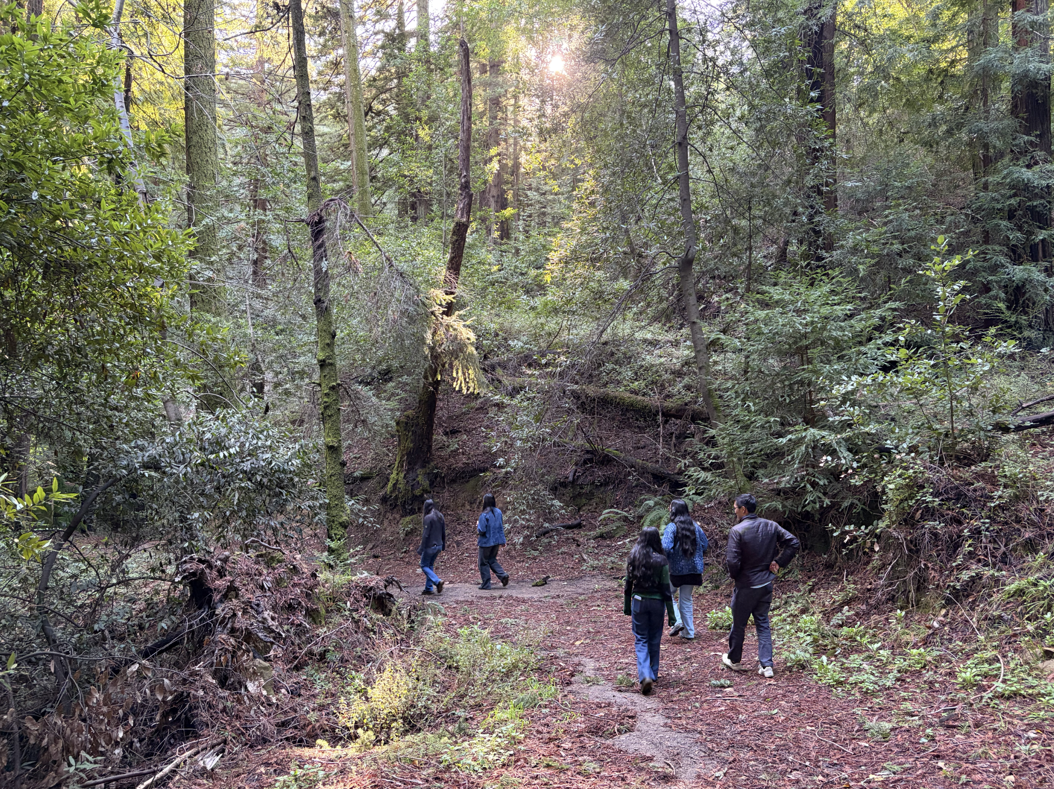 Hiking trail at the venue.