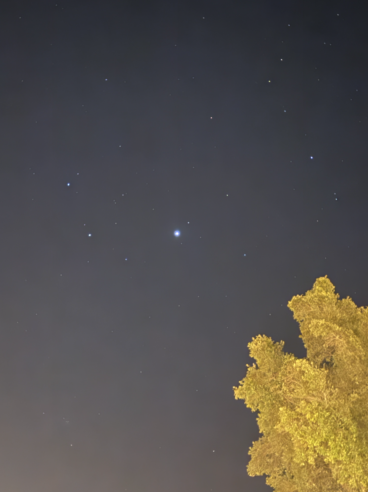 The night sky in Los Gatos.