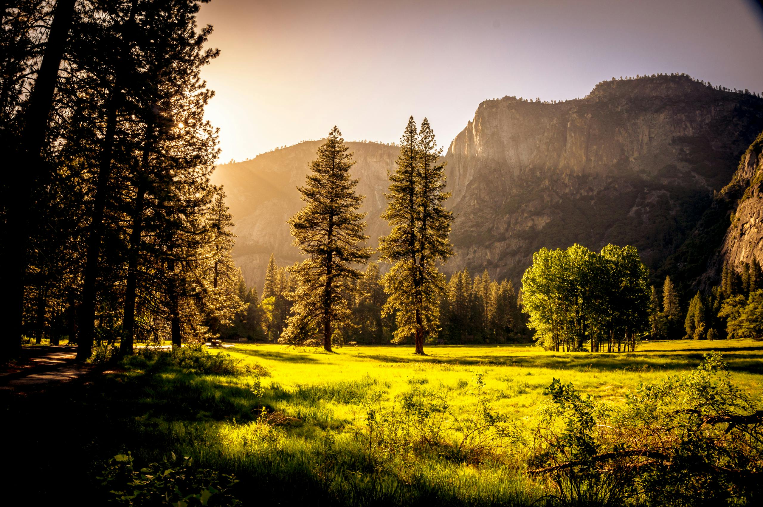 Green Grass Field and Green Tress during Day Time by André Cook, free image via Pexels.com